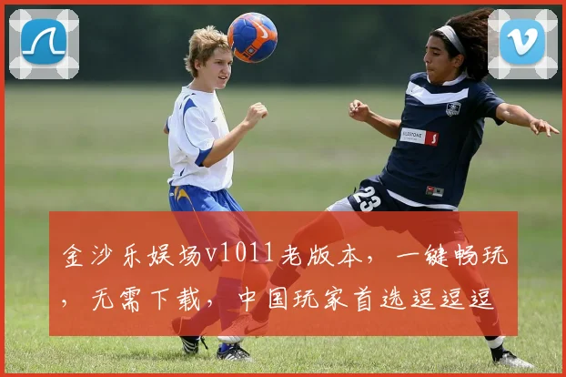 金沙乐娱场v1011老版本，一键畅玩，无需下载，中国玩家首选逗逗逗