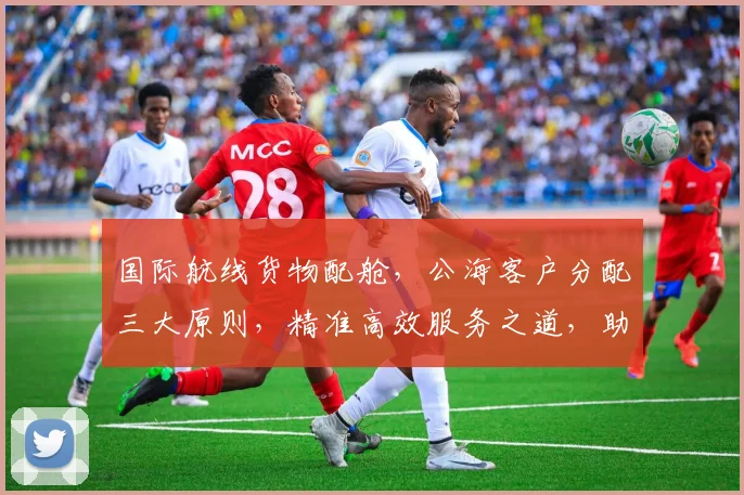 国际航线货物配舱，公海客户分配三大原则，精准高效服务之道，助力企业发展
